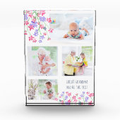 Grootmoeder je bent de beste roze vieze bloemen fotoblokken (Voorkant)