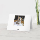 Grootmoeder Kittens in een doos Happy Birthday Kaart (Achterkant)