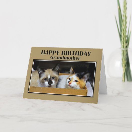 Grootmoeder Kittens in een doos Happy Birthday Kaart (Voorkant)
