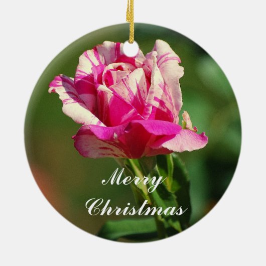 Grootmoeder Peppermint-kerstversiering Roos Keramisch Ornament (Achterkant)