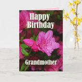 Grootmoeder roze Azalea Happy Birthday Kaart (Gele Bloem)