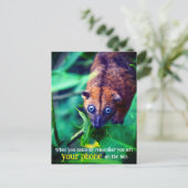 Grootogige Opossum Briefkaart (Staand voorkant)