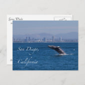 Grootoogtonijn in San Diego Briefkaart (Voorkant / Achterkant)