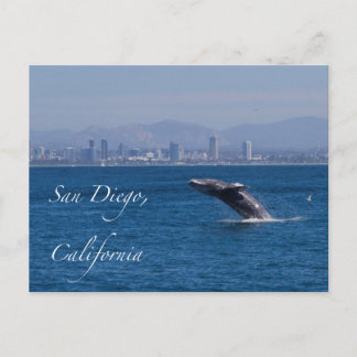 Grootoogtonijn in San Diego Briefkaart