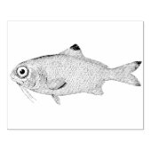 Grootoogvis  Rubber Art Stamp Rubberstempel (Afrduk)