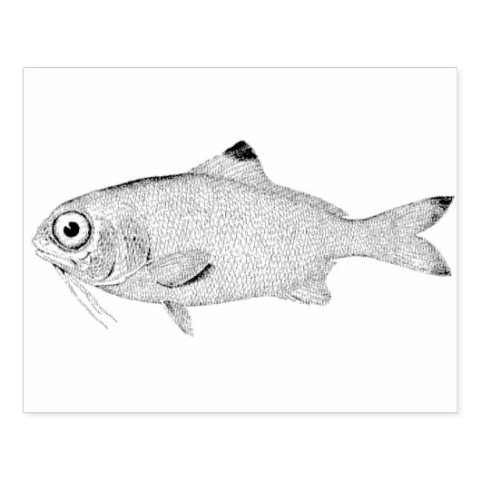 Grootoogvis Rubber Art Stamp Rubberstempel (Afrduk)