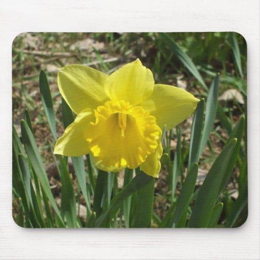 Grootouder Muis Onderlegger met Felgele Narcis Muismat (Voorkant)