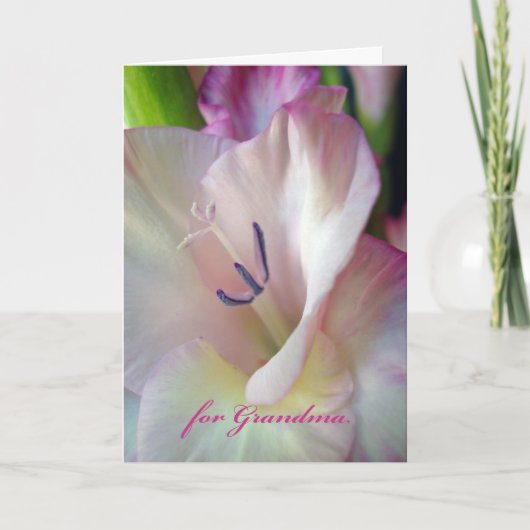 Grootouderdag voor oma, foto van Roze Gladiolus Kaart (Voorkant)