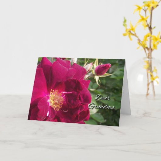 Grootouderdag voor oma, Red Rose en Bud Kaart (Gele Bloem)