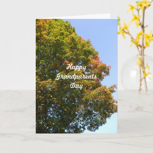 Grootouders Dag-Herfst Maple Tree Kaart (Gele Bloem)