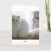 Grootouders Dag, Witte Kat Kaart (Achterkant)