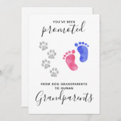 Grootouders Je bent gepromoveerd Zwangerschap bij  Aankondiging (Voorkant / Achterkant)
