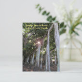 Grootste Banyanboom Fort Myers Florida Briefkaart (Staand voorkant)