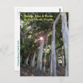 Grootste Banyanboom Fort Myers Florida Briefkaart (Voorkant / Achterkant)