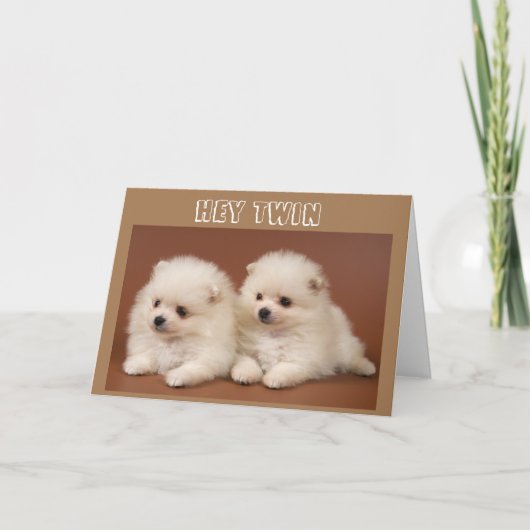 GROOTSTE DINGEN KOMEN IN *PAIRS* TWIN BIRTHDAY KAA KAART (Voorkant)