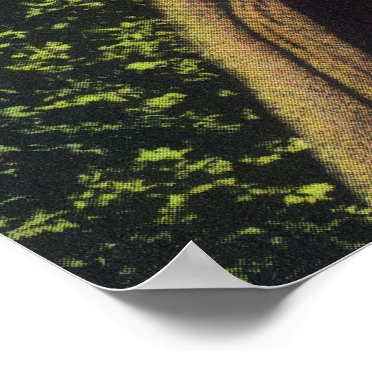 Grootste geregistreerde boom in BC 1896 Cedar-stru Poster (Hoek)