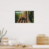 Grootste geregistreerde boom in BC 1896 Cedar-stru Poster (Keuken)