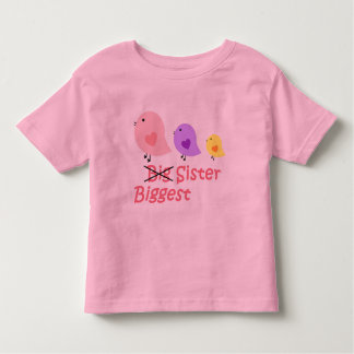 Grootste zus kinder shirts