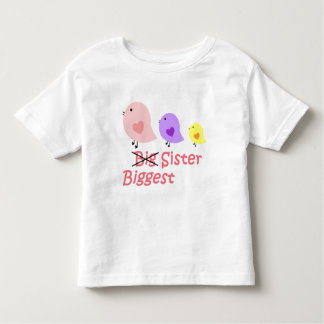 Grootste zus kinder shirts