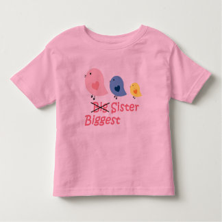 Grootste zus kinder shirts