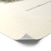 Grootststaartkunk, gekookte kunk, van Audubon Poster (Hoek)