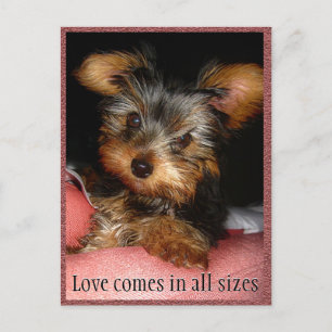 Grootte van Love Yorkie Briefkaart