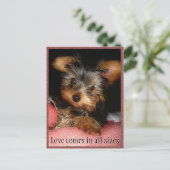 Grootte van Love Yorkie Briefkaart (Staand voorkant)