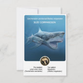 Grootte Vergelijking briefkaart (Megalodon + moder (Voorkant)