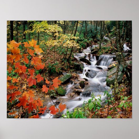 grootvader poster (Voorkant)