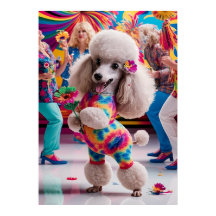 Groovie Hippie 60s Poodle Dancing in the Disco