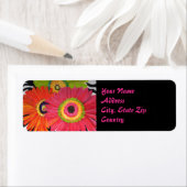 Groovy Gerbera Daisy Label (Insitu)
