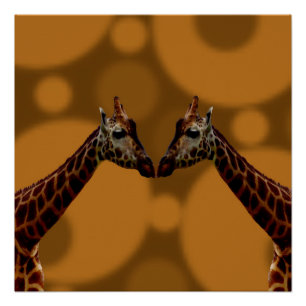 Groovy Giraffes A Go, Perfect Poster
