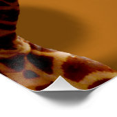 Groovy Giraffes A Go, Perfect Poster (Hoek)