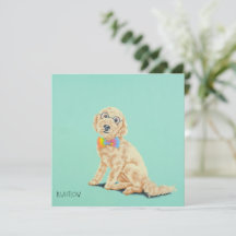 Groovy Goldendoodle Note Cards
