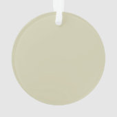 Groovy in mijn kersttijd grappige leraar ornament (achterkant)