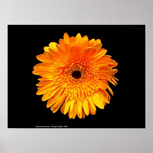 Groovy Poster (Voorkant)