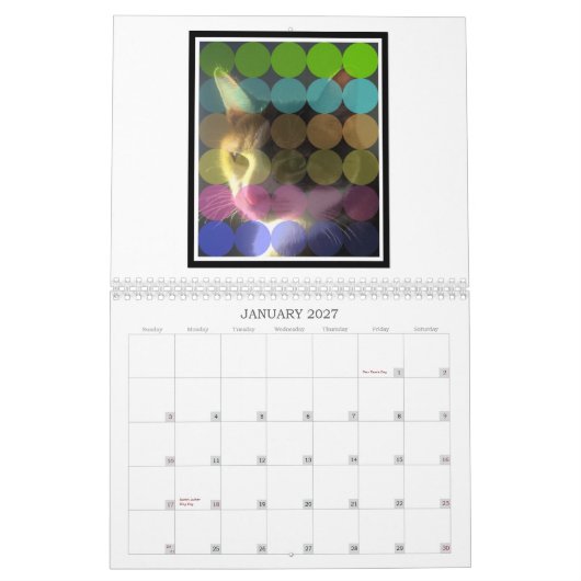 Groovy Pup 2013 Art Calendar Kalender (Jan 2027)