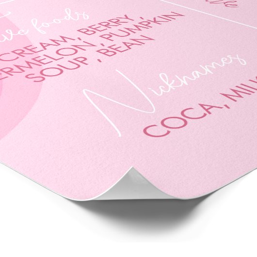 Groovy Roze Daisy Eerste Verjaardag Mijlpaal teken Poster (Hoek)