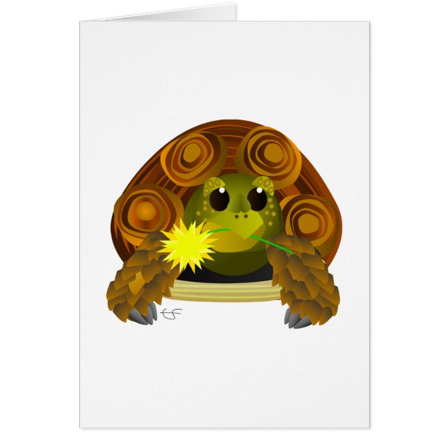 Groovy Tortoise (Voorkant)