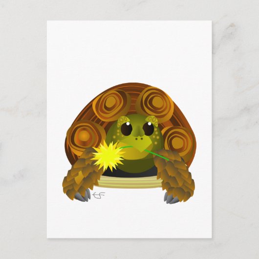 Groovy Tortoise Briefkaart (Voorkant)