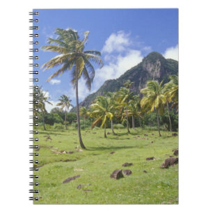 Gros Piton uitzicht langs het historische pad in Notitieboek