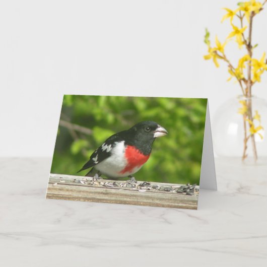 Grosbeak denken van uw Kaart (groot afdrukken) (Gele Bloem)