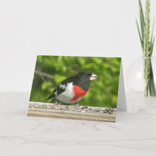 Grosbeak denken van uw Kaart (groot afdrukken) (Voorkant)