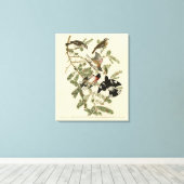 Grosbeak met roos, Amerikaanse vogels Canvas Afdruk (Insitu (Houten vloer))