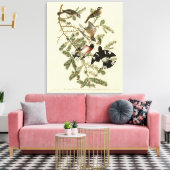 Grosbeak met roos, Amerikaanse vogels Canvas Afdruk (Insitu (Woonkamer))
