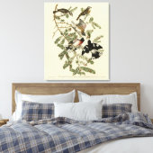 Grosbeak met roos, Amerikaanse vogels Canvas Afdruk (Insitu (Slaapkamer))