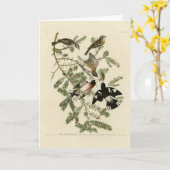 Grosbeak met roos, Amerikaanse vogels Kaart (Gele Bloem)