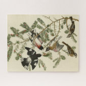 Grosbeak met roos, Amerikaanse vogels Legpuzzel (Horizontaal)