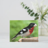Grosbeak met roos briefkaart (Staand voorkant)