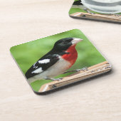 Grosbeak met roos drankjes onderzetter (Linkerzijde)